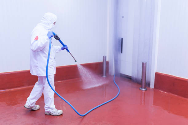 Trusted Chula Vista, CA Pressure Washing Services Experts